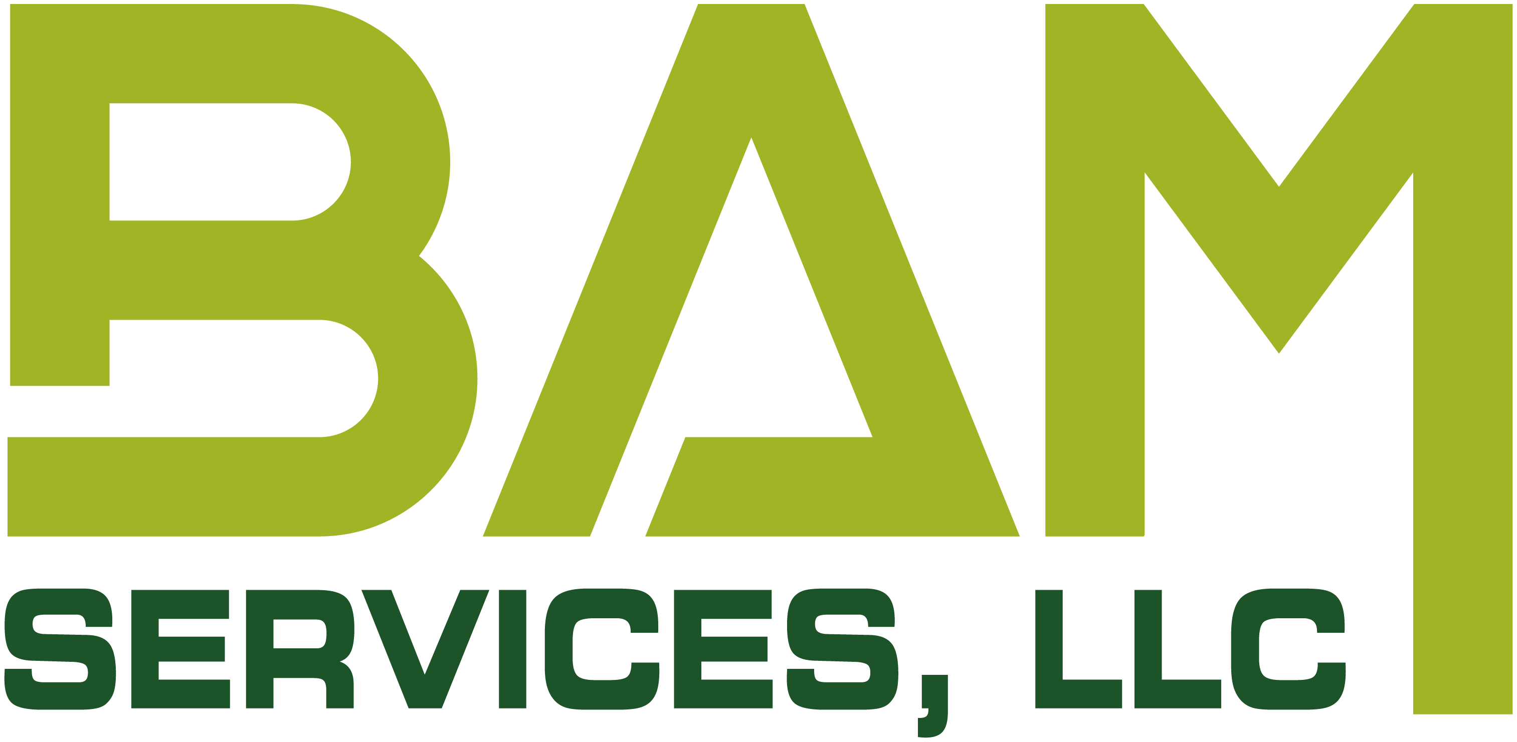 BAM Services, LLC